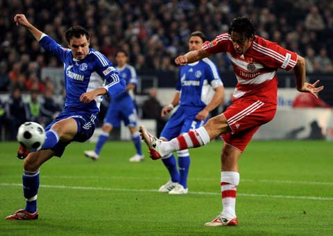 强烈的归属 强烈的归属